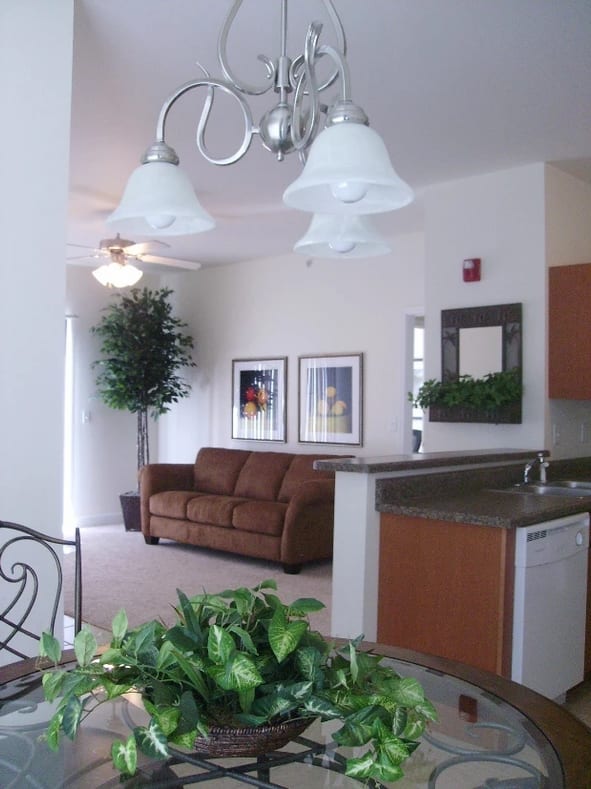 Apartments for Rent Carbondale, IL Storyboard on Black Diamond